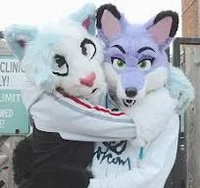 Two Twitter Furries