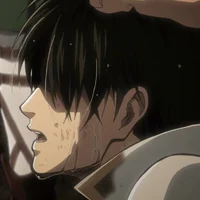 Levi Ackerman 