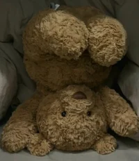 Likely Autistic User