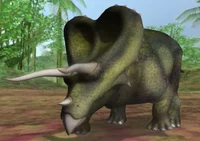 Triceratops