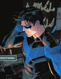 STALKER Dick Grayson