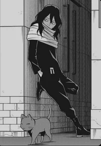 Shota aizawa