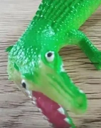 Crocodile