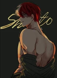 shoto todoroki
