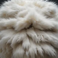 fur parasite
