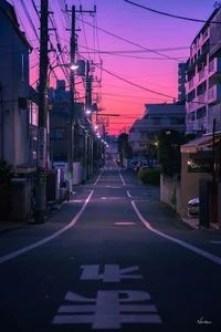 Tokyo_city simulator