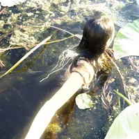 Swamp Witch