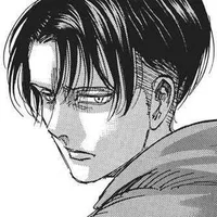 Levi Ackerman 