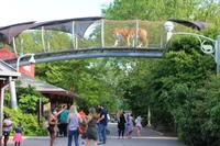 Zoo