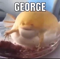 George