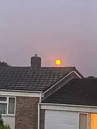 Chicken past univers