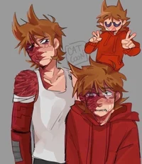 Tord