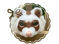 5-Therian gear ideas