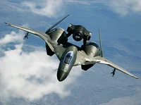 Lizaurian Military 2