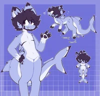 Femboy cat shark