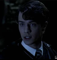 Tom riddle 