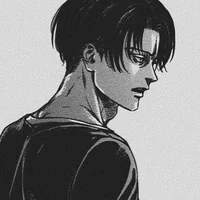 Levi Ackerman 