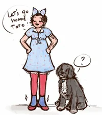 000-social media req