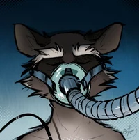 Rocket - Injured
