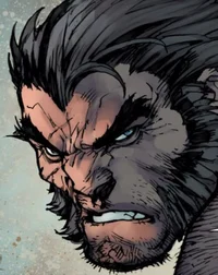 Wolverine 