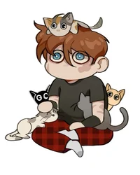 Gatos - BL