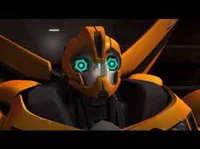 Bumblebee-TFP