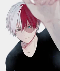 Shoto Todoroki