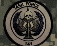 Task Force 141