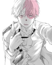 Todoroki shoto