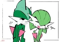 Gallade X Gardevoir