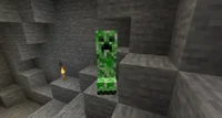 Guy