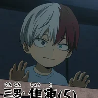 Shoto Todoroki