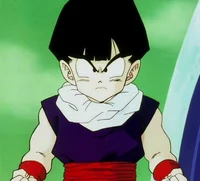 Gohan