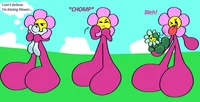 Flower BFDI - TF