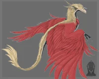 Griffin Hawks