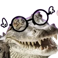 Crocosaiko