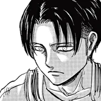 Levi Ackerman 