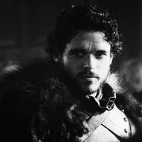 ROBB - STARK