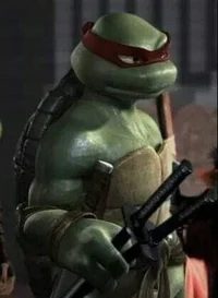 Raphael 2007 
