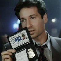Fox mulder 