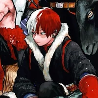 Shoto Todoroki
