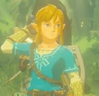 Link - BOTW