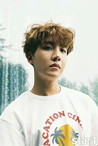 Hoseok br