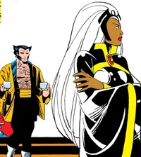 STORM AND WOLVERINE