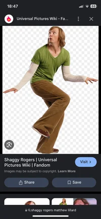 Shaggy Rogers