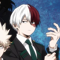 Shoto todoroki 