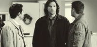 Team Free Will