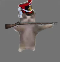 Musket Cat
