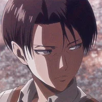 Husband levi
