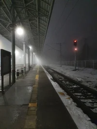 Найденный на вокзале